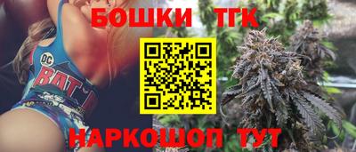крисы Лесосибирск