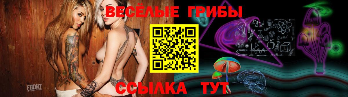 Псилоцибиновые грибы MAGIC MUSHROOMS Ставрополь
